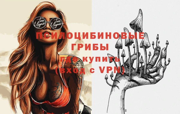 не бодяженный Медвежьегорск