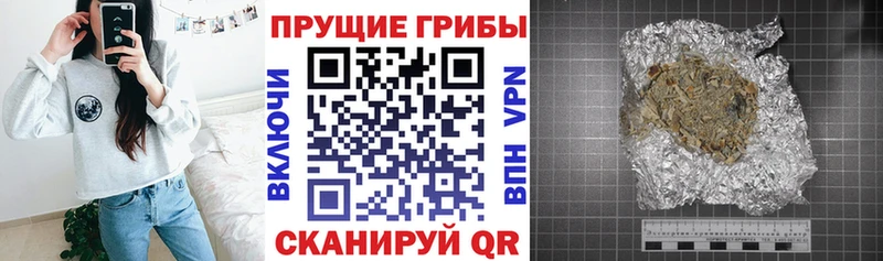 Псилоцибиновые грибы GOLDEN TEACHER  Приозерск 
